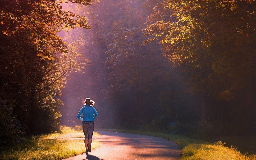Walking am Samstag – Neues Angebot des HSVO